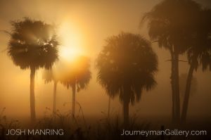 Josh Manring Photographer Decor Wall Art -  Florida Everglades -74.jpg